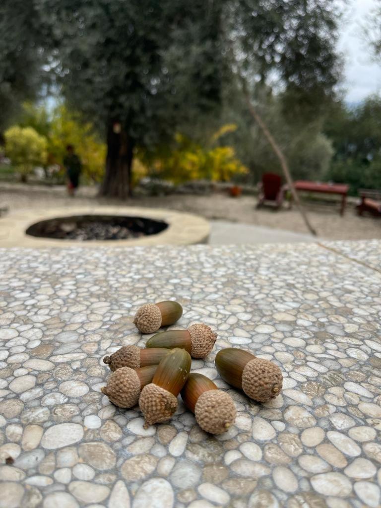 Antalya Bodrum Kayasi Dag Oteli Hasdumen Buitenkant foto